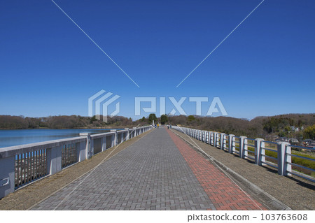 [Tokorozawa City] Lake Sayama and Yamaguchi Dam crest road 103763608