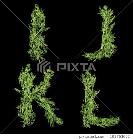Vegetable Alphabet of dill sprigs isolated on black background Vegetable Alphabet of dill sprigs isolated on black background 103763692