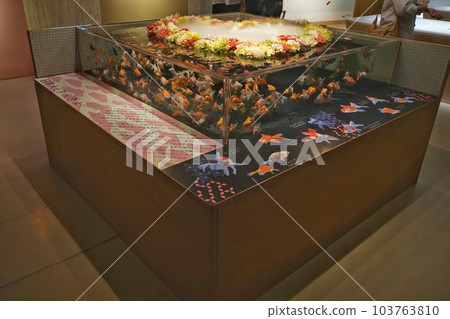 Miyajima Aquarium G7 Special Exhibition 103763810