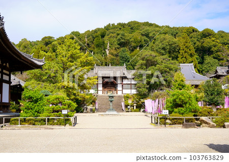 永福寺/二天門（大阪府南河內郡太子町） 103763829