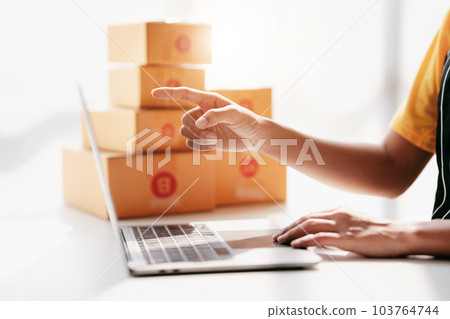 Small business parcel delivery concept, Female entrepreneur chec 103764744