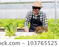 Agribusiness farmer and hydroponic farming concept, Man using pH meter to testing and control water system of hydroponics farm for salad vegetables plantation in greenhouse 103765525