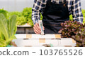 Agribusiness farmer and hydroponic farming concept, Man using pH meter to testing and control water system of hydroponics farm for salad vegetables plantation in greenhouse 103765526