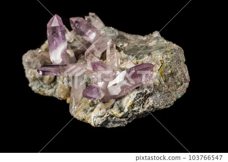 Macro mineral stone Amethyst crystals in rock on a black background 103766547