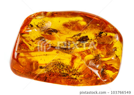 Macro Amber mineral stone with spider on white background Macro Amber mineral stone with spider on white background 103766549