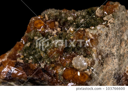 macro mineral stone Grossular, Garnet, Epidote on a black background 103766600