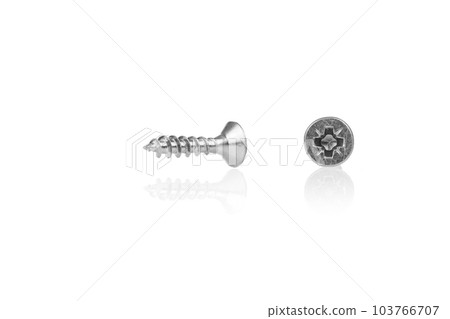 macro screw of silver color on a white background 103766707
