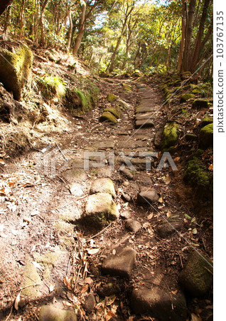 千葉縣慶南町能古切山 千葉縣慶南町能古切山 103767135