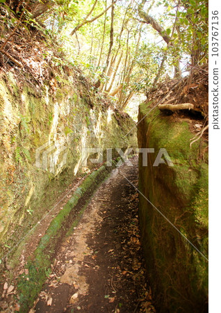 Mt. Nokogiri, Kyonan Town, Chiba Prefecture Mt. Nokogiri, Kyonan Town, Chiba Prefecture 103767136