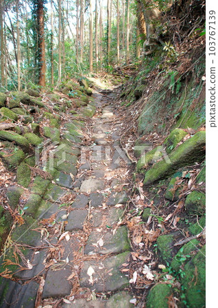 千葉縣慶南町能古切山 103767139