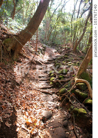 Mt. Nokogiri, Kyonan Town, Chiba Prefecture 103767140