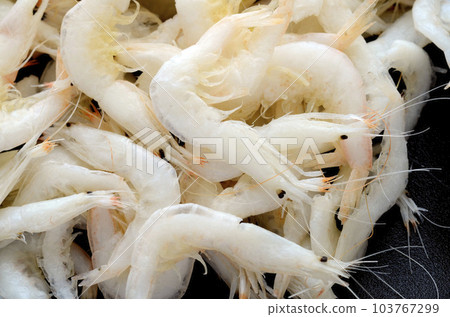 白蝦 白蝦 103767299