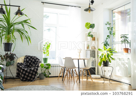 The interior of the house with large windows and home plants round table, chairs, white loft. Houseplant caring for indoor plant, green home 103768291