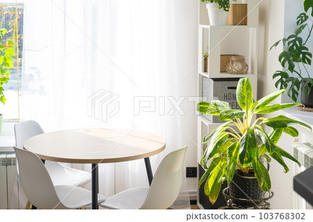 The interior of the house with large windows and home plants round table, chairs, white loft. Houseplant caring for indoor plant, green home 103768302