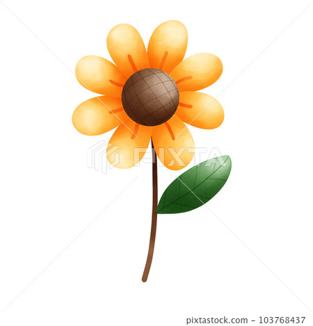 sunflower, flower, blossom 103768437