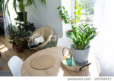 The interior of the house with large windows and home plants round table, chairs, white loft. Houseplant caring for indoor plant, green home The interior of the house with large windows and home plants round table, chairs, white loft. Houseplant caring for indoor plant, green home 103768452