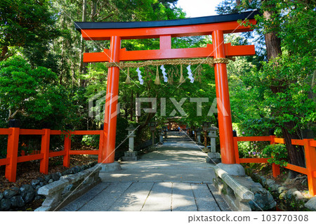 Sessha Ota Shrine Torii 103770308