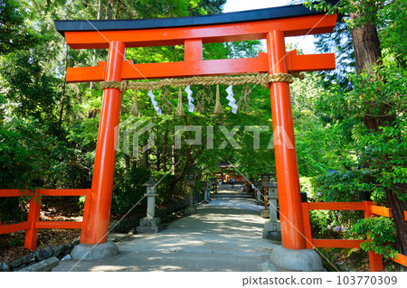 Sessha Ota Shrine Torii Sessha Ota Shrine Torii 103770309