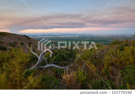 beautiful sunset landscape with an interesting snag 103770590