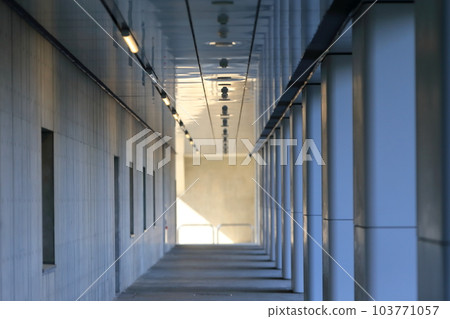 consecutive pillars 103771057