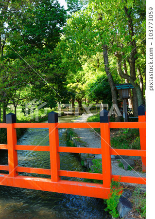 池之野橋、奈良之小川、嫩葉和新綠、上賀茂神社 池之野橋、奈良之小川、嫩葉和新綠、上賀茂神社 103771059
