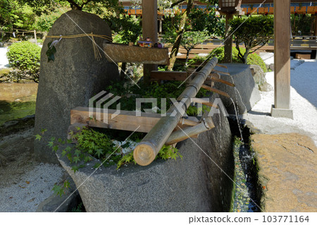 Kamigamo Shrine Chozuya, young leaves and fresh greenery 103771164