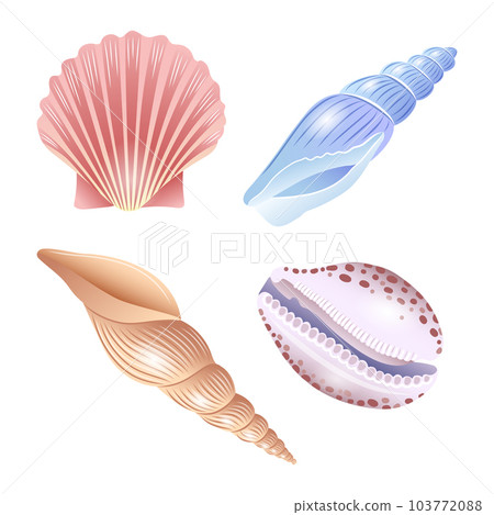A set of vector illustrations of seashells of different shapes A set of vector illustrations of seashells of different shapes 103772088