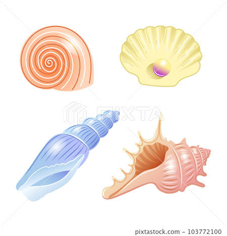 Set of vector illustrations of sea shells of different shapes and colors in cartoon style 103772100