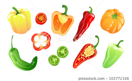 Set of illustrations of colorful variety of peppers in bright colors 103772108
