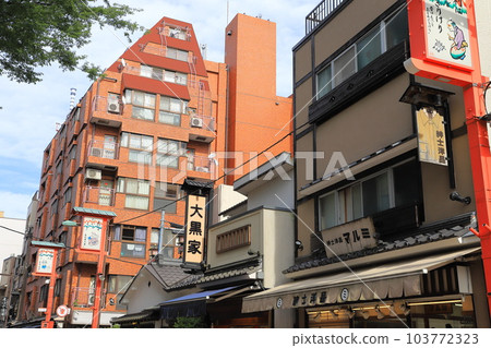 Asakusa Denpoin Street 103772323