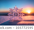Snowflake Winter Concept 103772595