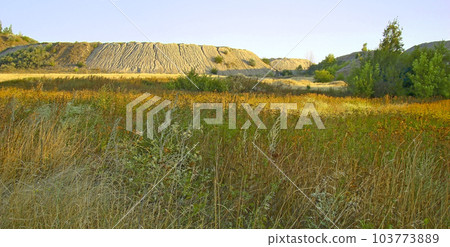 Autumn steppes Autumn steppes 103773889