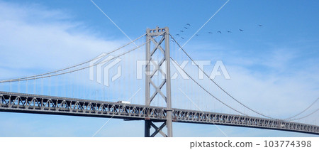 Group of birds fly over the Bay Bridge in a V-formation 103774398