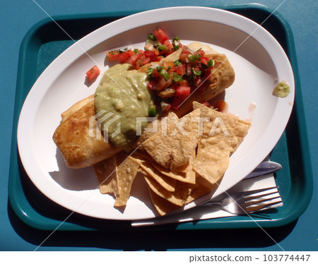 Chimichanga with guacamole,and Salsa on top Chimichanga with guacamole,and Salsa on top 103774447
