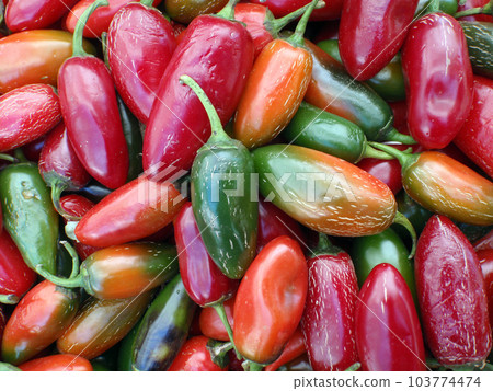 close-up multi-colored colorful chili peppers background close-up multi-colored colorful chili peppers background 103774474