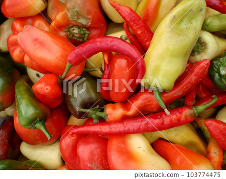 close-up multi-colored colorful chili peppers of different styles, background close-up multi-colored colorful chili peppers of different styles, background 103774475
