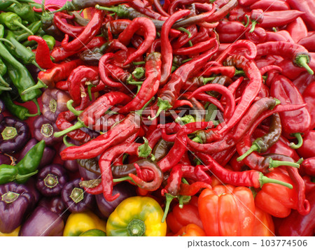 Mix of colors and types of Peppers Mix of colors and types of Peppers 103774506