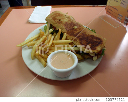 Vegetarian Sandwich with fries Vegetarian Sandwich with fries 103774521