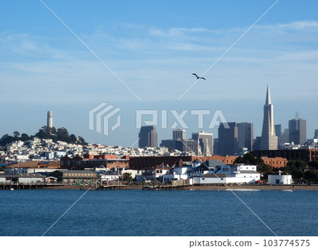 San Francisco Featuring Aquatic Park San Francisco Featuring Aquatic Park 103774575