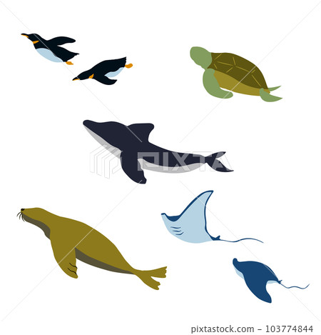 生活在水族館裡的生物插圖集 生活在水族館裡的生物插圖集 103774844