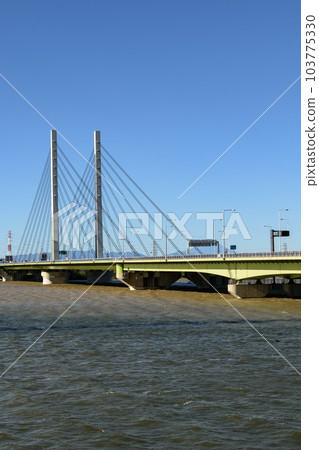 2019年東日本颱風荒川腫脹和西湖（埼玉大橋） 103775330