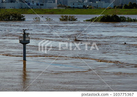 2019 East Japan Typhoon, on the verge of flooding, muddy Arakawa 103775367