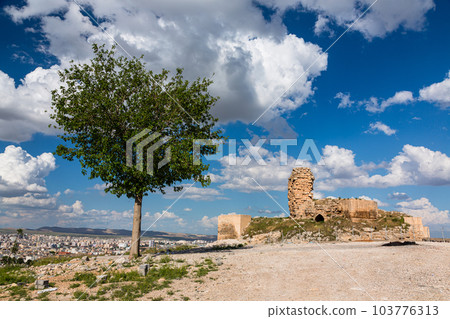 土耳其 Şanlıurfa 城堡和旁邊的一棵樹 103776313