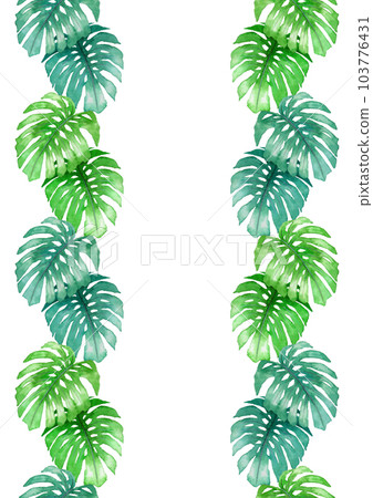 模擬水彩觀葉植物龜背竹葉線素材 103776431