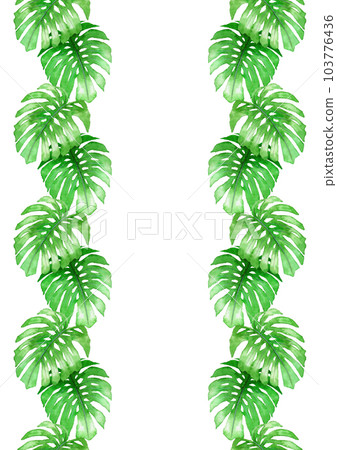 模擬水彩觀葉植物龜背竹葉線素材 103776436