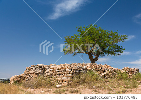 Scenery around the ruins of Gobekli Tepe, a World Heritage site near Sanliurfa, Turkey Scenery around the ruins of Gobekli Tepe, a World Heritage site near Sanliurfa, Turkey 103776485