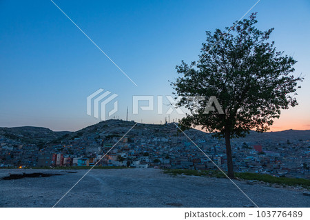 土耳其 Şanlıurfa 山上的一棵樹和黃昏時分老城的城市景觀 103776489