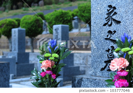 flowers on the grave flowers on the grave 103777046