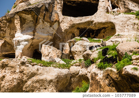 Hasankeyf 在土耳其淹沒前的 Hasankeyf 城堡和窯洞 103777089