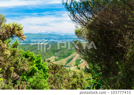 View from Cattle Ridge Lookout, Wainuiomata, Wellington, New Zealand View from Cattle Ridge Lookout, Wainuiomata, Wellington, New Zealand 103777433